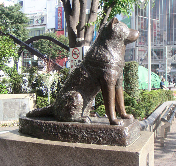 Hatiko (Hachiko) szobra