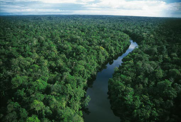 amazon_rainforest_esoerdo
