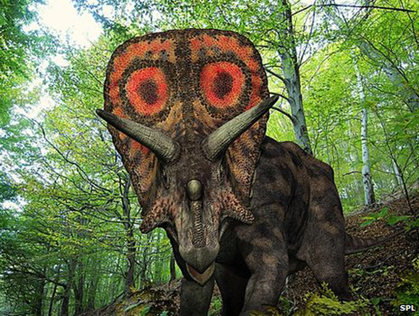 torosaurus_Triceratops_rekonstr