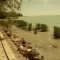 Szakértők szerint megváltozott a Balaton “viselkedése”