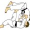 Judo-nap