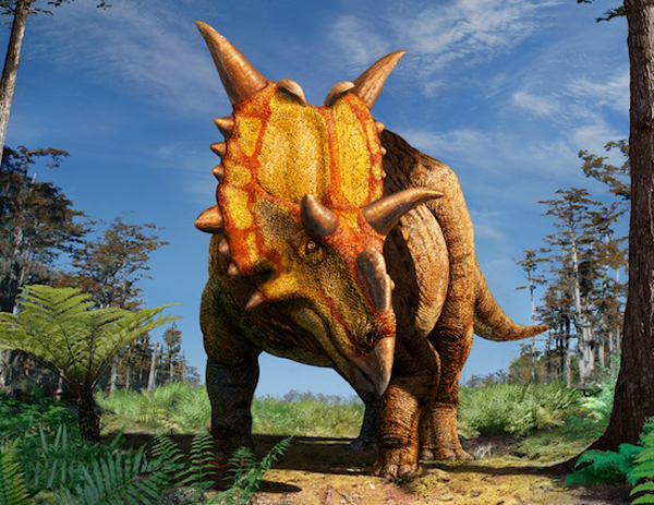 Xenoceratops_foremostensis_kanadai_szarvas_dinoszaurusz