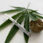 marihuana_kabitoszer_drog