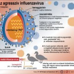 agressziv_influenzavirus