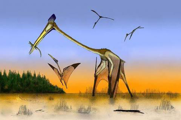 fogatlan_pterosaurusok_0