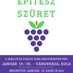 epitesz_szuret2015
