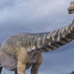 uj_dinoszaurusz_faj_2021_Australotitan_cooperensis