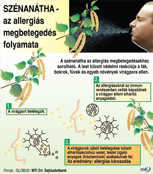 szenanatha_allergia_pollen