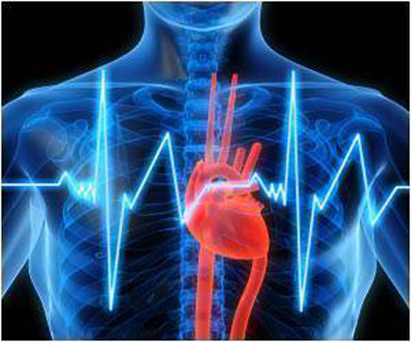 koszorúér-betegség egészségügyi szív információk milgamma a magas vérnyomásról