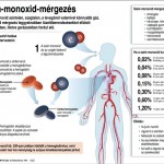 szen_monoxid_mergezes