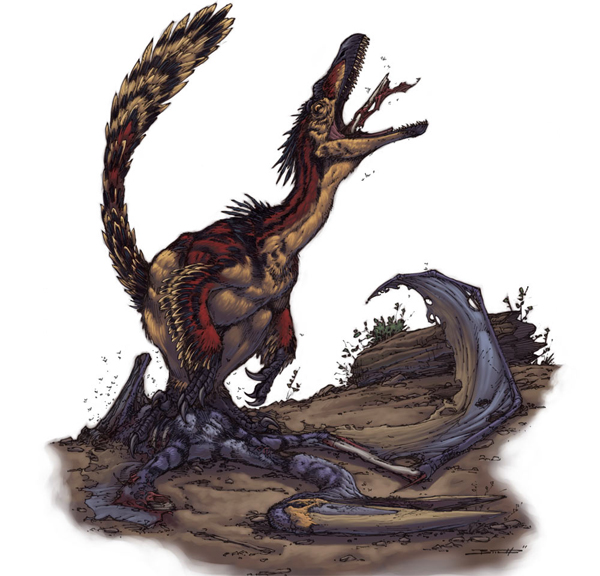 velociraptor_dinoszaurusz-illusztr