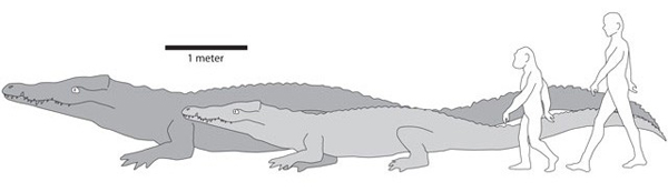 a_legnagyobb_krokodil