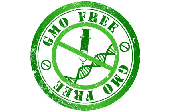 GMO_mentes_Non_GMO