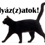 fekete_macska_palyazatok
