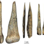neandervolgyi