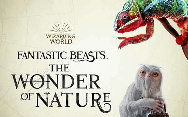 Fantastic Beasts_The Wonder of Nature_kiallitas_legendas_allatok
